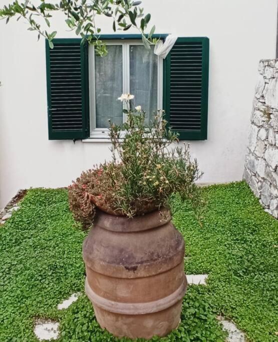 La Piazzetta Di Gra E Baldo Apartman Sestri Levante Kültér fotó